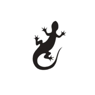 SandstormKenya's profile picture