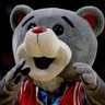🐻迈克尔-包里斯-梁家河耶维奇-维尼诺夫🐻's profile picture