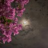 Фото профиля ابو فـراس
