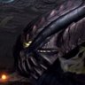 Gore Magala 的头像