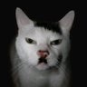 Bagoez's profile picture