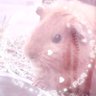 みゅう。's profile picture