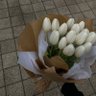 Tulips Library's profile picture