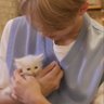 wen junmeow~♡ 的头像
