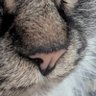 Oleg profil fotoğrafı