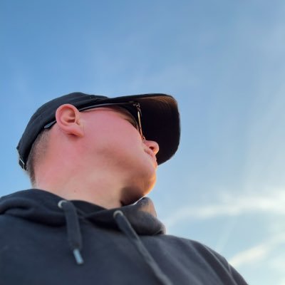 svorklab's profile picture