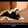 round the world 的头像