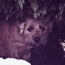 Profilbild von Scatcha