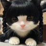 Nawanti's profile picture
