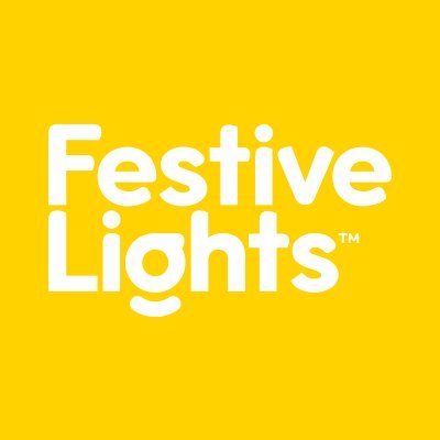 Festive Lights Ltd ✨'s profile picture