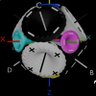 Percepton Theory's profile picture