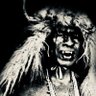 Jared Wolf's profile picture