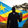 Nouvel Ordre Congolais 的头像