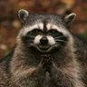 Profilbild von AmericanPeon