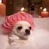 Kesia, a Leal ✠'s profile picture