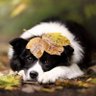 Profilbild von Pretty Esther
