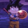 Profilbild von Son Goku🔥⚡️