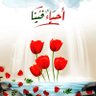 نصر profil fotoğrafı