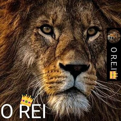👊𝑶 𝑹𝑬𝑰👑🦁👑's profile picture