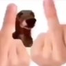 fancy bingus's profile picture