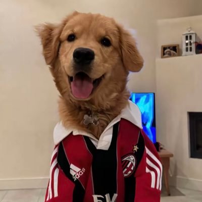appartengo's profile picture