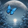 shatha almarzooq🦋's profile picture