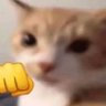 Miguelf's profile picture