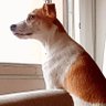 D1namagon profil fotoğrafı