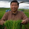韭菜調教師 profil fotoğrafı