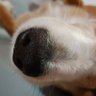 Jota_Soler profil fotoğrafı