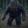 Profilbild von The Galaxy's Shortest Wookie