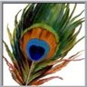 Keith Peacock profil fotoğrafı