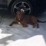 norma Aguilar Luna's profile picture