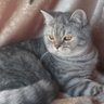 Profilbild von simona