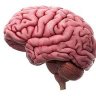 Profilbild von LongTermMemory