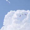 หมีก้อนเมฆ ||| 🧸☁️ 𝗢𝗛 𝗠𝗬! 7 🩵🧡's profile picture