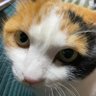スキマで働くオジ 的头像