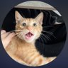Profilbild von ...