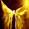 Profilbild von Phoenix Rising