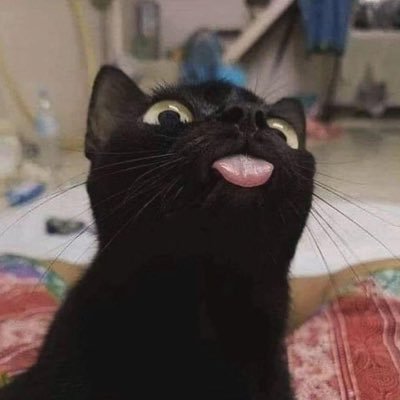 KimhanzZ's profile picture