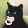 Profilbild von hmwhat