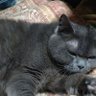 satotaro profil fotoğrafı