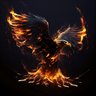 Profilbild von SteveC