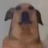 Profilbild von Gilbert