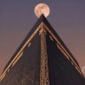 جمرة عرب. profil fotoğrafı