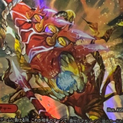 DM_koutou_syu's profile picture