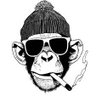 Marco Polo's profile picture