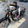 かわらわり's profile picture
