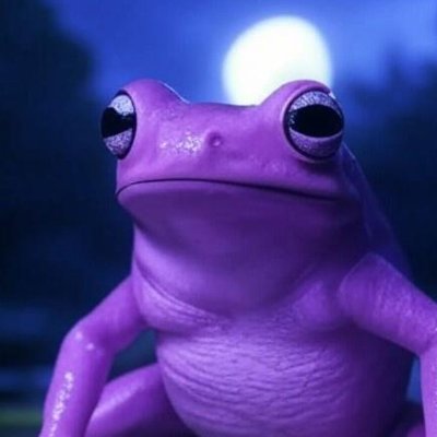 🇩🇪Lila Laubfrosch🇮🇱 Purple Tree Frog 🇺🇸's profile picture