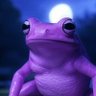 🇩🇪Lila Laubfrosch🇮🇱 Purple Tree Frog 🇺🇸's profile picture
